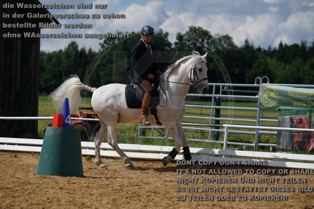 s_K3F04794.JPG
